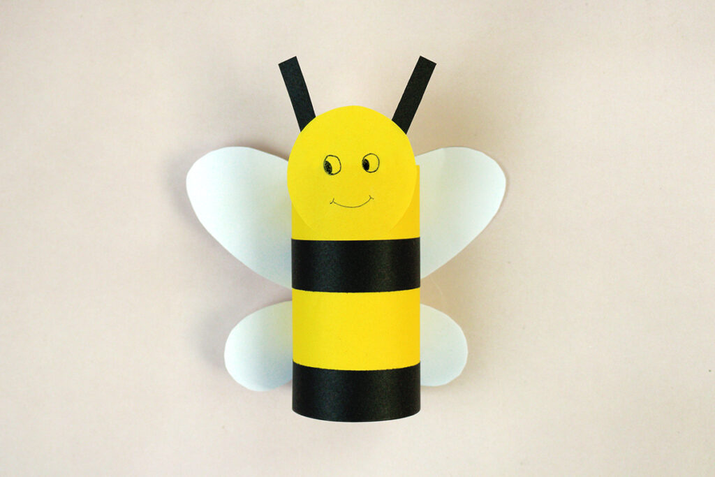 toilet paper roll crafts for kids and adults
