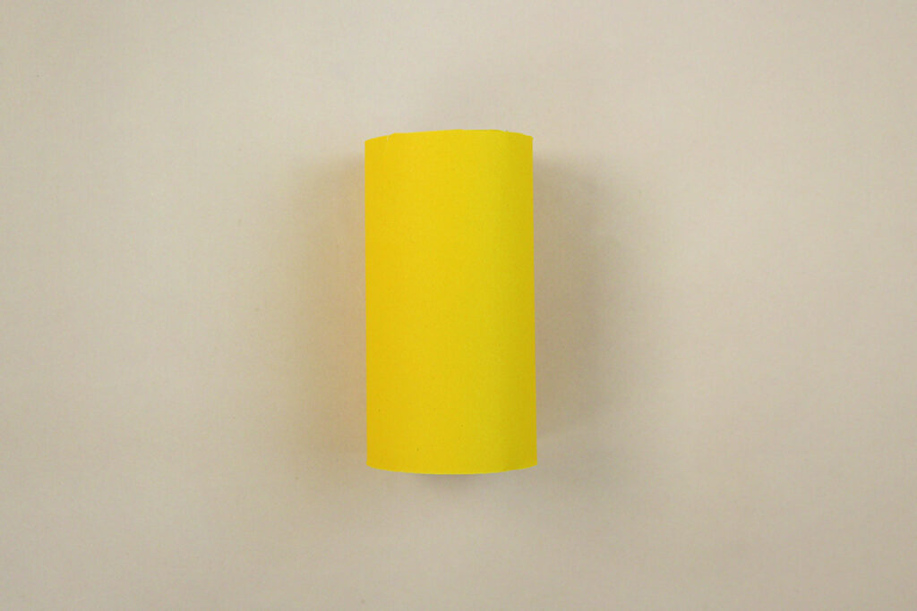 toilet paper roll crafts for kids and adults