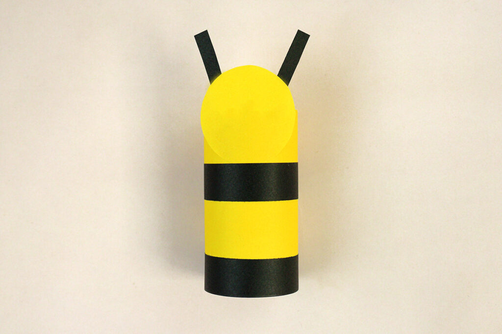 toilet paper roll crafts for kids and adults