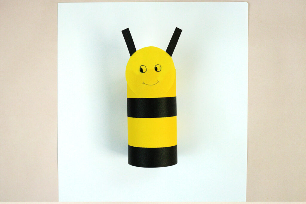 toilet paper roll crafts for kids and adults